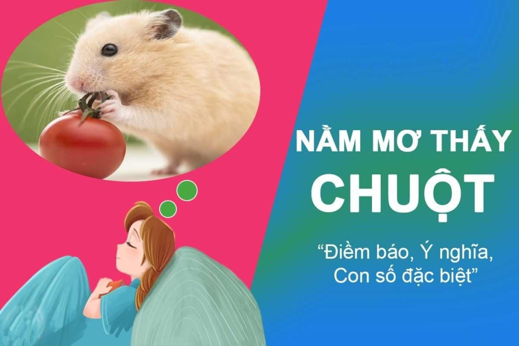 Nằm mơ thấy chuột điềm báo gì? Giải mã giấc mộng chi tiết