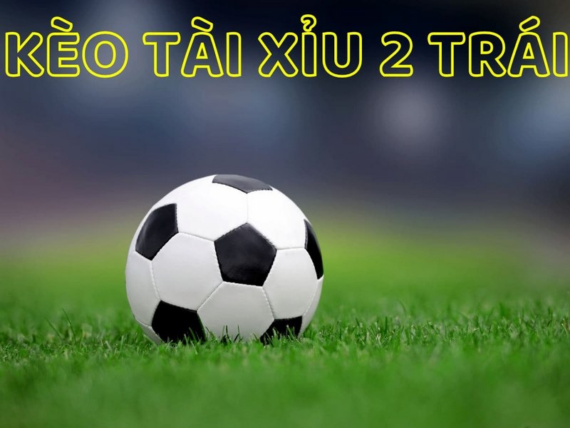 Tài Xỉu 2 Trái – Hình Thức Cá Cược Hấp Dẫn Tại Go789