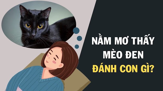 Ngủ mơ thấy mèo đen nên đánh con gì?