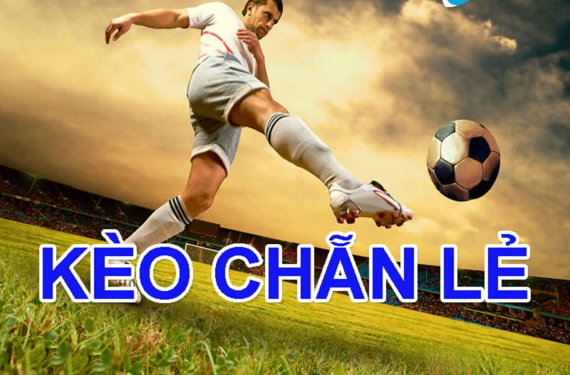 Hiểu rõ về các tỉ lệ cược trong kèo chẵn lẻ