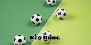 Vì sao nên tham gia kèo rung tại Go789? 