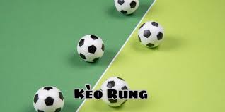 Vì sao nên tham gia kèo rung tại Go789? 