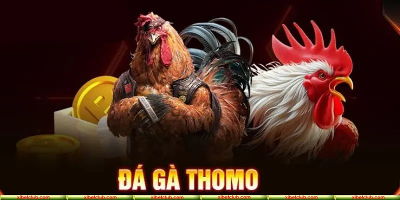 Cá cược đá gà trực tuyến bộ môn giải trí hấp dẫn