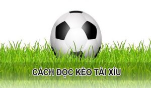 Hướng dẫn tip chơi kèo tài xỉu trong bóng đá