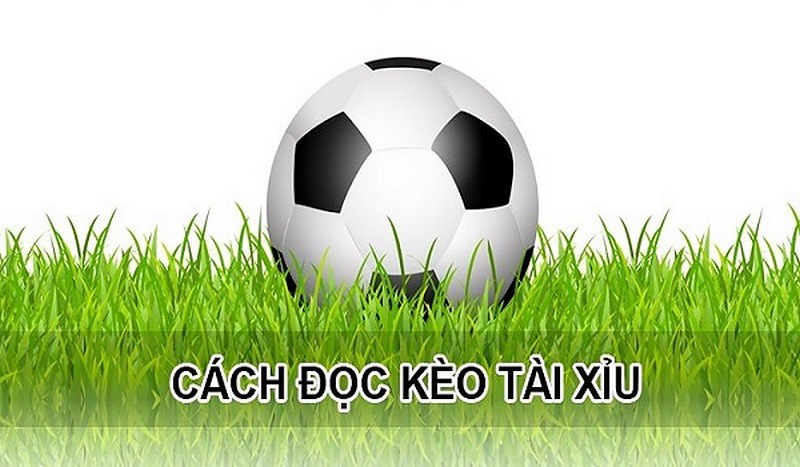 Hướng dẫn tip chơi kèo tài xỉu trong bóng đá