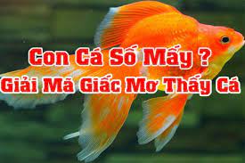 Điềm báo khi mơ thấy các loại cá - đánh số mấy?
